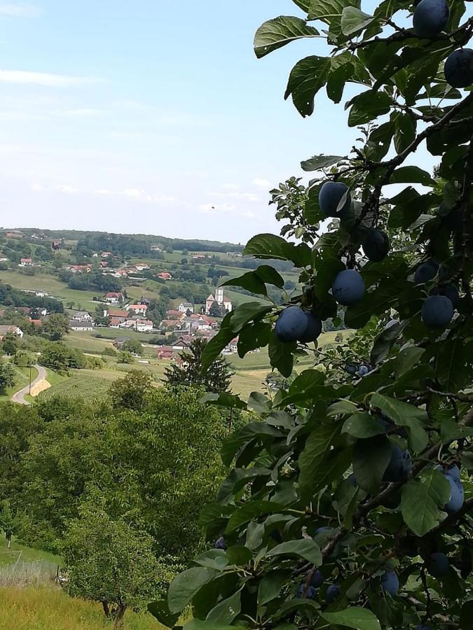 Kronprinz-Rudolf-Hof Unterlamm (Styria) Exterior foto